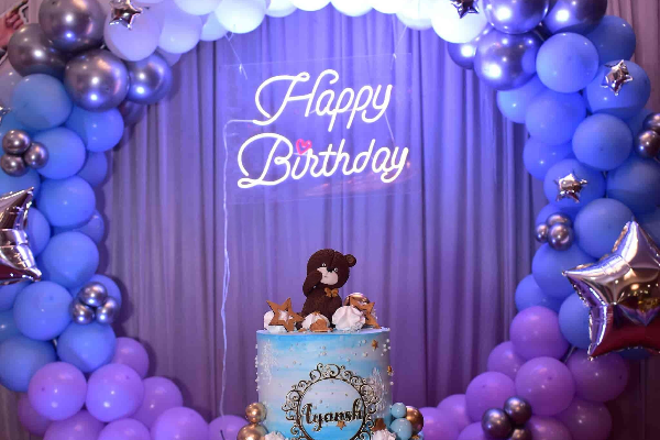 Birthday Party Organisers